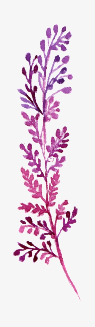 Hand Painted Rare Strange Leaves Png Transparent - Watercolor Painting #4851652