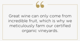 Today Broll Mountain Vineyards Produces Over 1,000 - Love #4851937