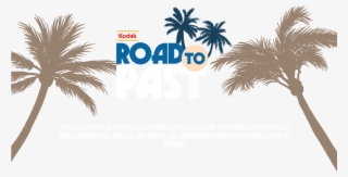 Kodak Road To Past - Blue Palm Trees Throw Blanket #4855064