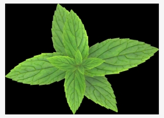 Here On Free Pngs You Can Browse Through Our Complete - Pastel #4855770