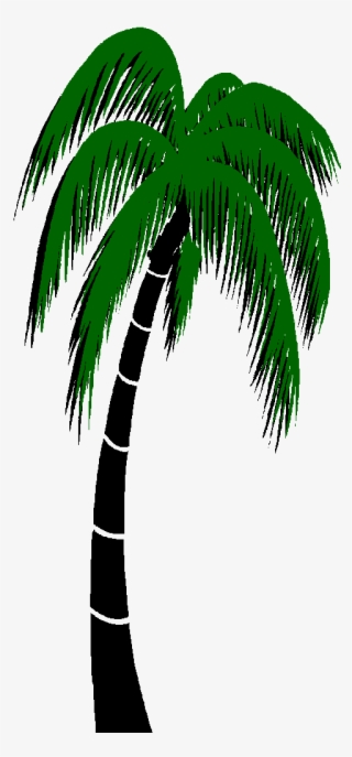 Graphics For Palm Trees Animated Graphics - Palm Tree 3d Gif #4855986