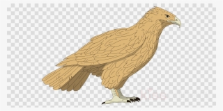 Bald Eagle Clip Art - Pink Powder Explosion Png #4857307