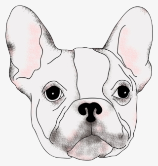 Drawing Bulldogs Realistic - French Bulldog #4858137
