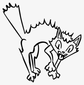 28 Feb - Big Book Of Dashboards Cat #4858886