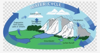 Parts Of The Water Cycle Clipart Water Cycle Global - Natural Water Cycle #4859233