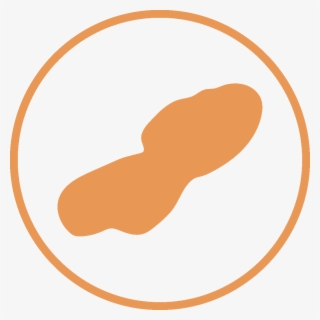 Otter Tail Lake #4859356