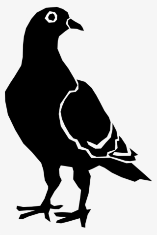 White Dove Clipart Burung - Pigeon Silhouette #4860720