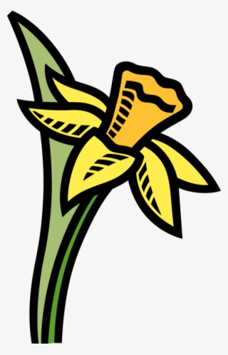 Vector Illustration Of Easter Pascha Daffodil Yellow - Short And Tall Trees #4862772