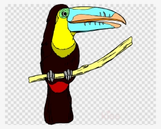 Bird Clipart Bird Toucan Clip Art - Toucan #4862902