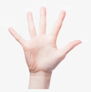 Tdg Hand - Hand #4866928