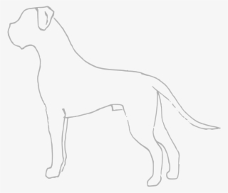 File - Boxer Scheme - Svg - Dogo Argentino #4867829