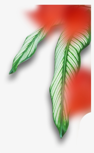 /byron-bay/contact/ - Illustration #4868245