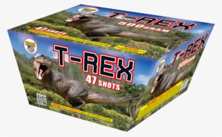 T-rex - Dinosauri. Quaderni Per Sapere Di Più. Con Adesivi #4870246