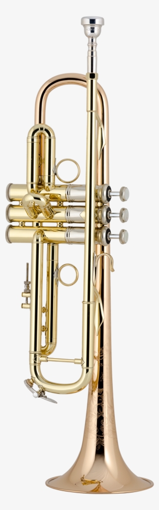Bach Professional Model Lr19043b Bb Trumpet - Trompeta Vincent Bach #4870967