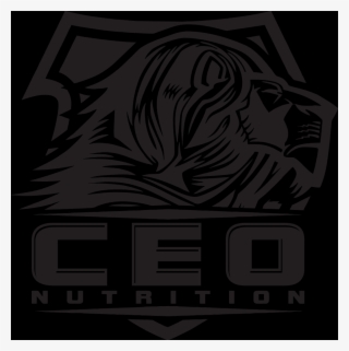 Kingdom Conquest #4870968