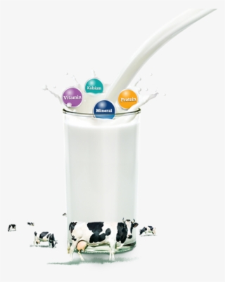 Made With 100% Milk From New Zealand - Milk #4872519