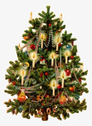 Tubes Gifs Sapins De Noël - Victorian Christmas Tree #4873907