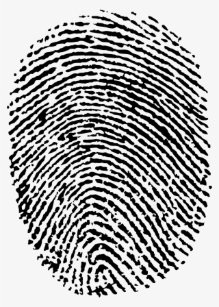Fingerprint #4875444