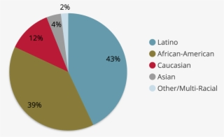 An Illustrated Pie Chart Depicting The Race & Ethnicity - Oil #4879382