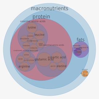 Turkey, Young Hen, Light Meat, Meat Only, Cooked, Roasted - Solid Non Fat Milk Composition #4879506
