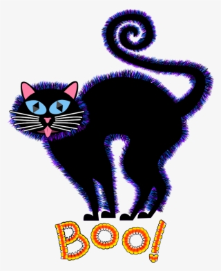 Fullscreen Rollover To Zoom - Cat #4879695