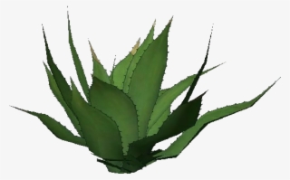 Plantas 3d - Agave Americana - Agave Tequilana #4880116