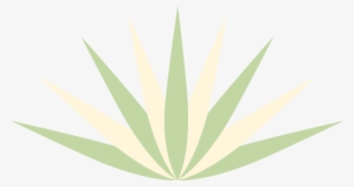 Agave Succulent Wall Decal - Illustration #4881150