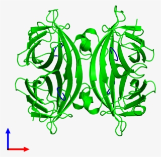 Octameric Assembly 3 Of Pdb Entry 5n99 Coloured By - Illustration #4881211