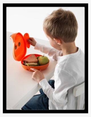 Ikea Lunch Box - Ikea Pojemnik Na Kanapki #4882104