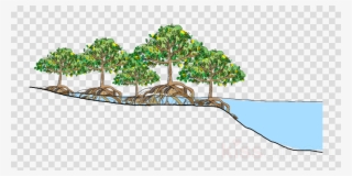 Download Mangrove Forest Vector Clipart Mangrove Tropical - Mangrove Tsunami #4883098