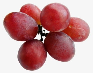 1378 X 1084 - Grapes Png #4884152