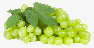 Green Grapes Png Royalty-free Image - Green Grape Png #4884236