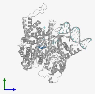 <div Class='caption-body'>pdb Entry 1qln Contains 1 - Graphic Design #4885759