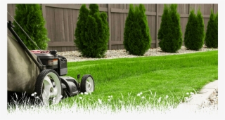 Jardineria Y Mantenimiento De Áreas Verdes #4886352