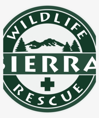 Emblem #4887905