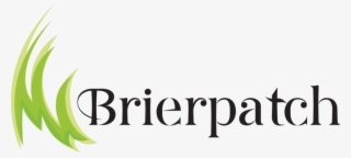 Jumping Tiger Png #4888113