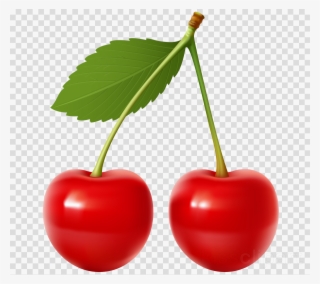 Cherry Png Clipart Cherry Pie Sour Cherry Cherries - Transparent Background Cherry Transparent #4889172