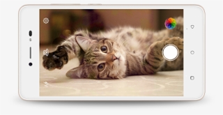 Lava Z60 - Happy Cat #4891105