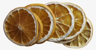 Lemon Slice Vector - Lemon #4891598