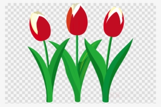 Tulip Clipart Tulip Flower Clip Art - Clip Art #4897189