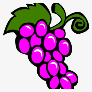 Grapes Clipart Clip Art At Clker Vector Online Royalty - Bunch Of Grapes Clipart #4897372