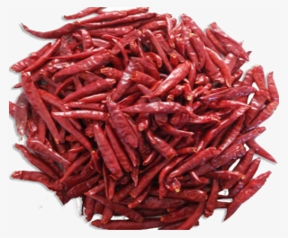 Dry Red Chilli #4898958