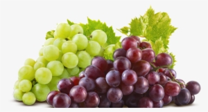 Sazonalidade - Grapeseed Oil From Majestic Pure, 100% Pure #490070