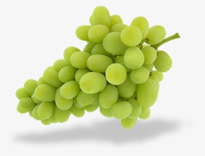 Redfrutas Uvas Thompson - Grape #490287