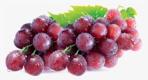 Benefícios Da Uva - Cacho De Uva Png #490327