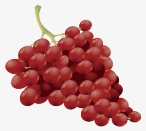 Racimo De Uvas - Vector #490473