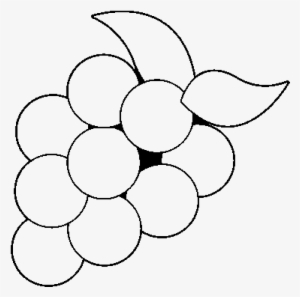 Grape #490531