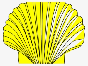 Pearl Cliparts Free Download Clip Art Carwad - Black And White Shell Clip Art #490643