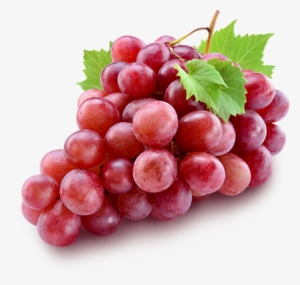 Uva - Red Grapes #490810