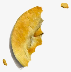 2000 - Swamp Birch #490829